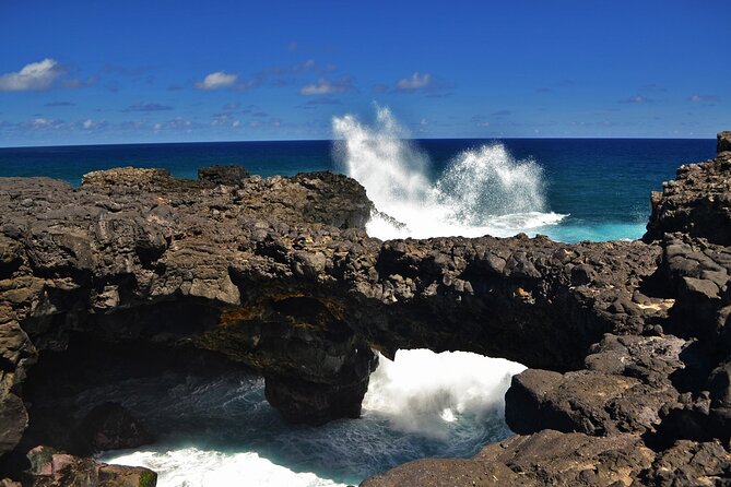 The East of Mauritius: Full-day incl visit to Ile aux Aigrettes & Lunch - Mahebourg Waterfront and the Battle of Grand Port