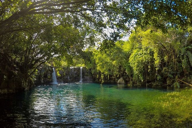 The Hidden Treasures of Mauritius, ALL INCLUSIVE Day Trip, Private SUV Car - Rochester Falls, the final natural stop