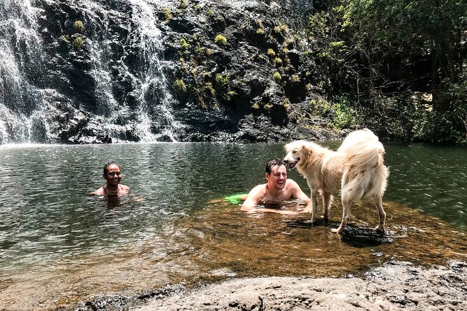 The Tamarind Falls (7 Cascades) Adventure - Walking through forest, plants, and birdlife