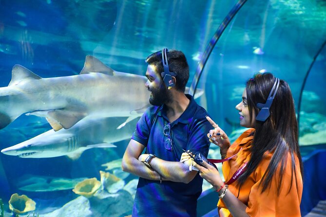 Ticket to the largest Oceanarium of the Mascarene Islands - Meeting the Indian Ocean at Odysseo