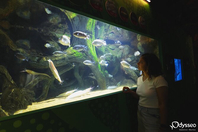 Ticket to the largest Oceanarium of the Mascarene Islands - A practical 1 to 2 hour plan