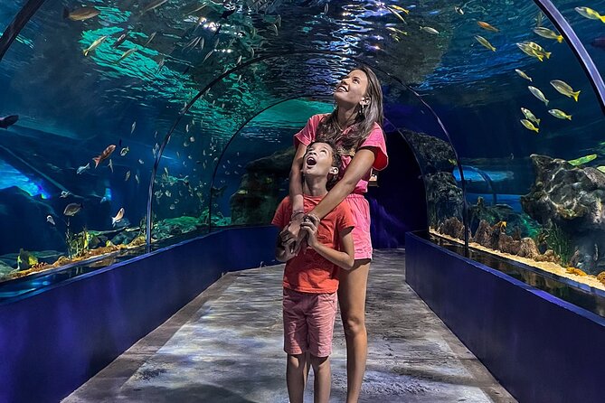 Ticket to the largest Oceanarium of the Mascarene Islands - Is the $33.50 ticket good value?