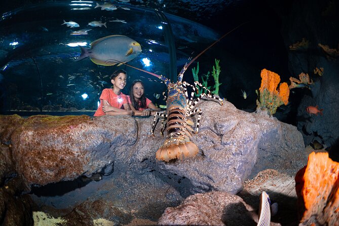 Ticket to the largest Oceanarium of the Mascarene Islands - Getting there and fitting it into Port Louis