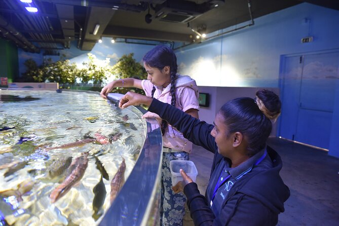 Ticket to the largest Oceanarium of the Mascarene Islands - Family appeal without overpromising