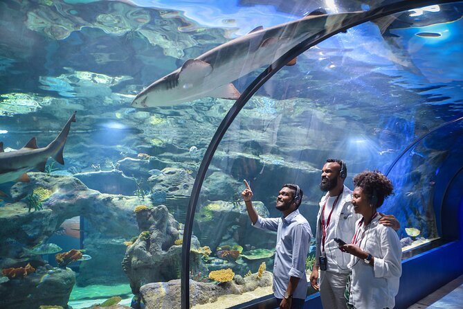 Ticket to the largest Oceanarium of the Mascarene Islands - The main aquarium and the sense of scale