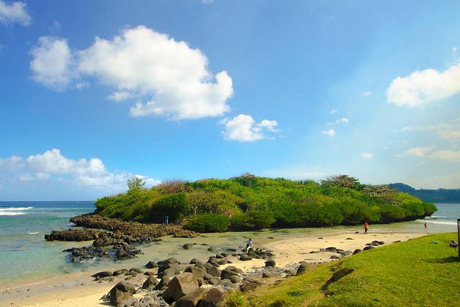 Tropical South West of Mauritius: Full-day All Inclusive tour (Visit to 3 parks) - Vallée des Couleurs is the day’s most unusual sight