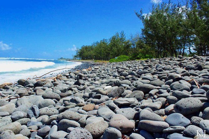 Tropical South West of Mauritius: Full-day All Inclusive tour (Visit to 3 parks) - Chamouny Waterfall adds another short nature stop