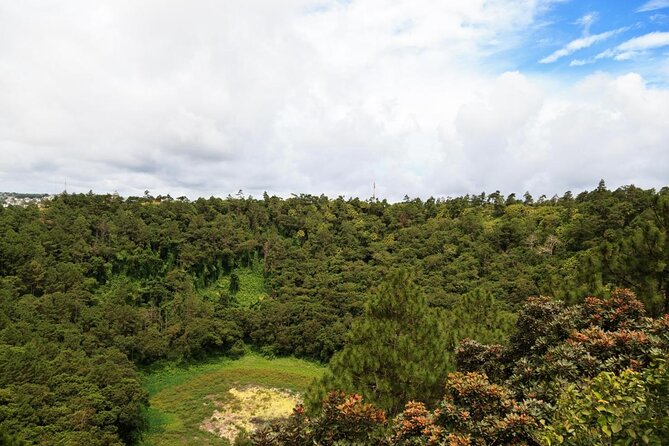 Tropical South West of Mauritius: Full-day All Inclusive tour (Visit to 3 parks) - Mare aux Vacoas offers a quieter pause
