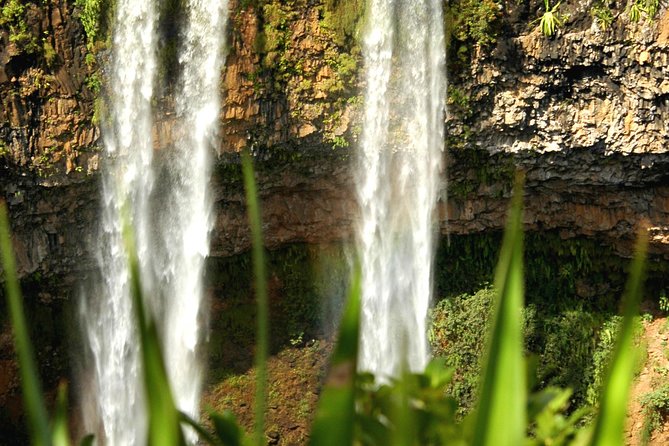 Trou-aux-Cerfs - Chamarel - Grand Bassin -Private Guided Tour (Min. 2 persons) - The guide can make or break the experience