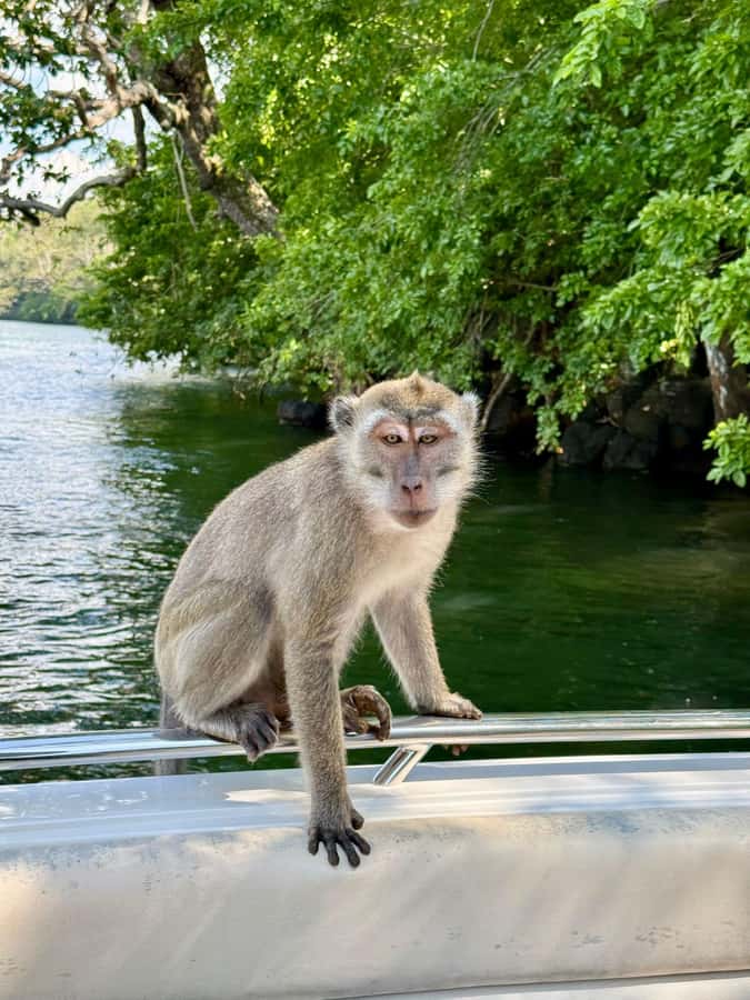 Trou D'Eau Douce: 5 island tour Mauritius with lunch/drinks - Île aux Cerfs, the main beach stop