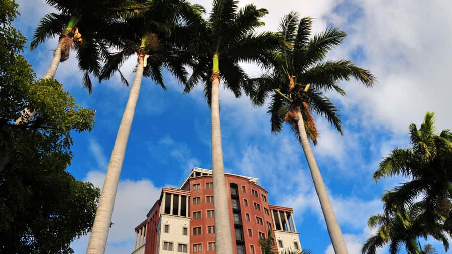 Unveiling the Ancient and Modern Port Louis - city tour - What the guide adds to the experience