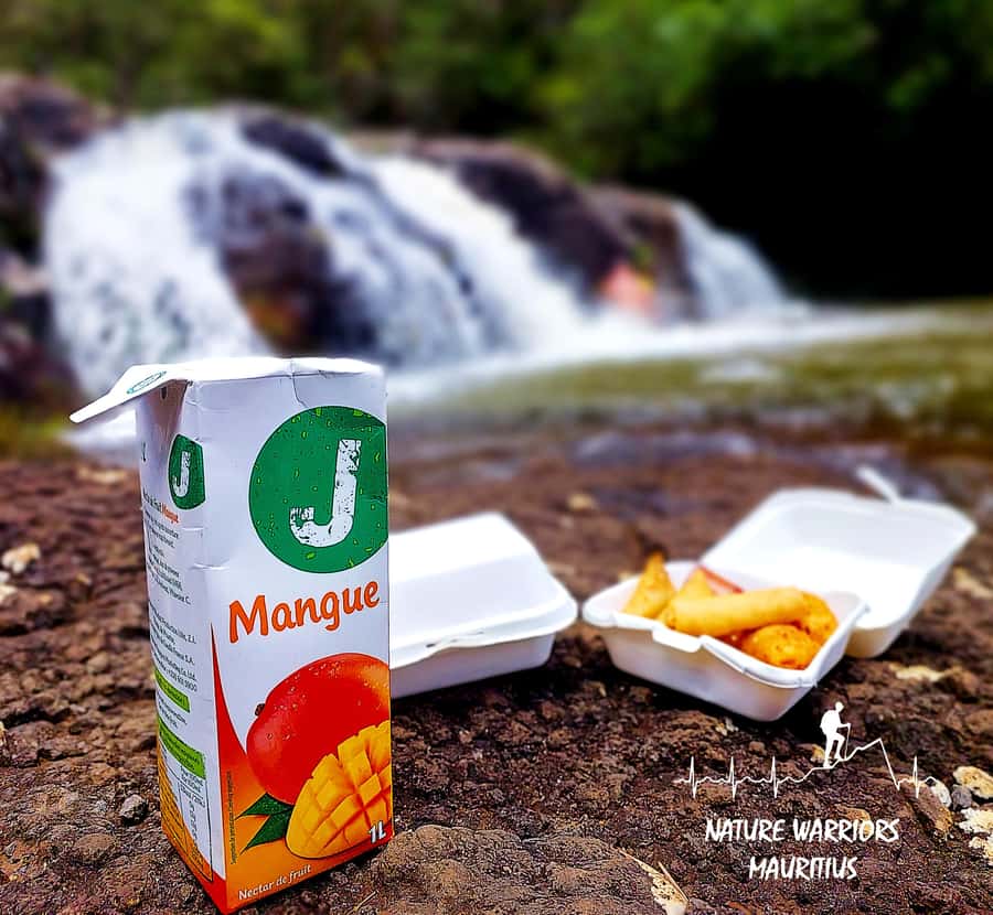 Vacoas-Phoenix: Private Hiking Tour to Tamarind Falls - How hard is the hike?