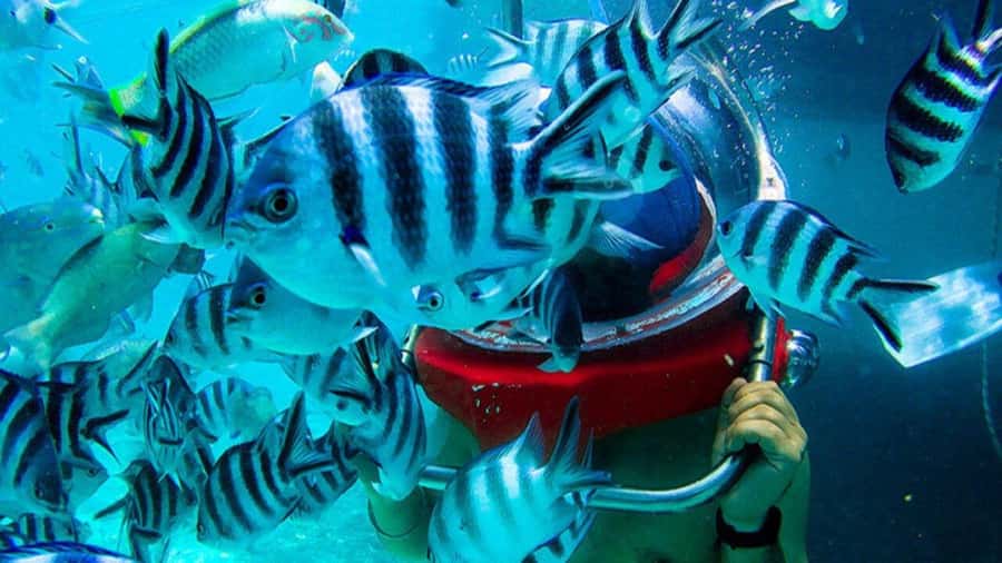 Walking under the sea in Mauritius with transfer - The boat ride from Belle Mare beach