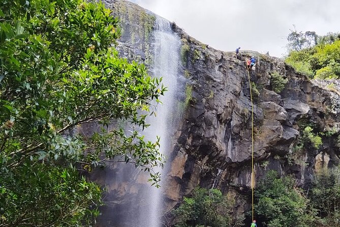 Waterfall Hike - Walking through sugar cane and subtropical bush