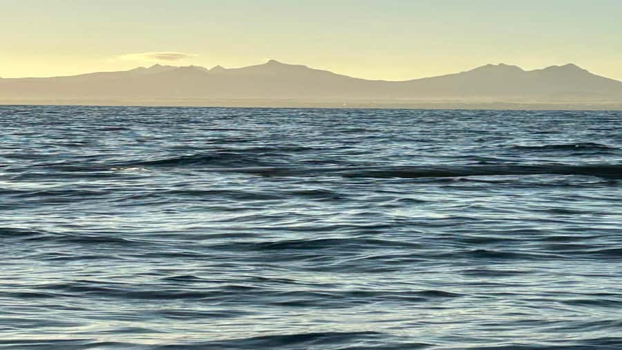 Whale & Dolphins Swimming - Private Speedboat Exclusive Tour - Should You Book This Mauritius Wildlife Tour?