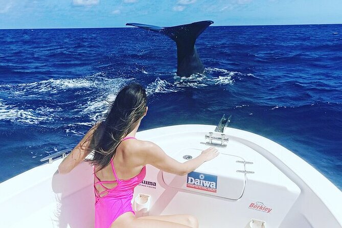 Whale Dream ltd - Whales watching and swim with dolphins - What the private price really buys you