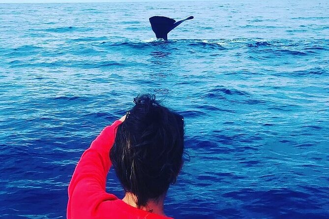 Whale Dream ltd - Whales watching and swim with dolphins - Finding whales with a hydrophone