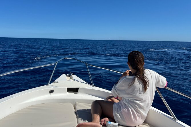 Whale Watching and Private Ocean Safari Experience in Mauritius - Searching offshore between Le Morne and Albion