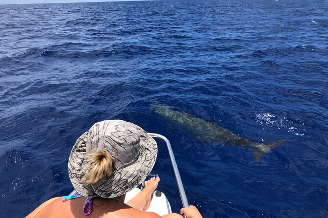 Whale Watching and Private Ocean Safari Experience in Mauritius - Snorkeling near Le Morne