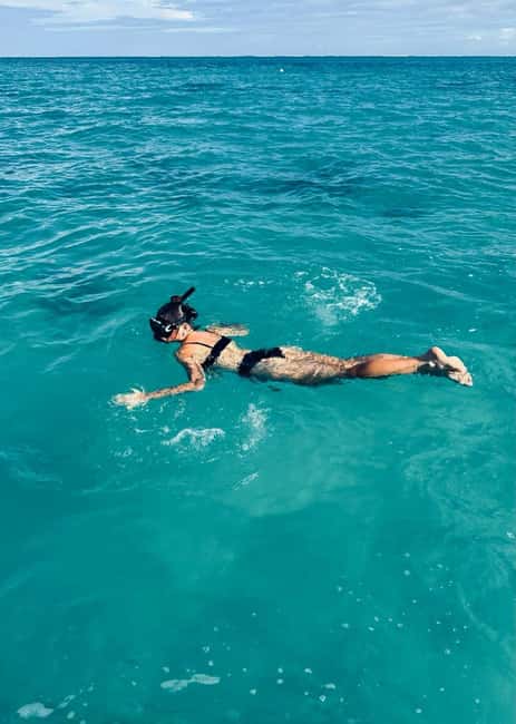 Wild Dolphin Encounter & Snorkeling Adventure – Mauritius. - A sunrise start off the coast of Mauritius