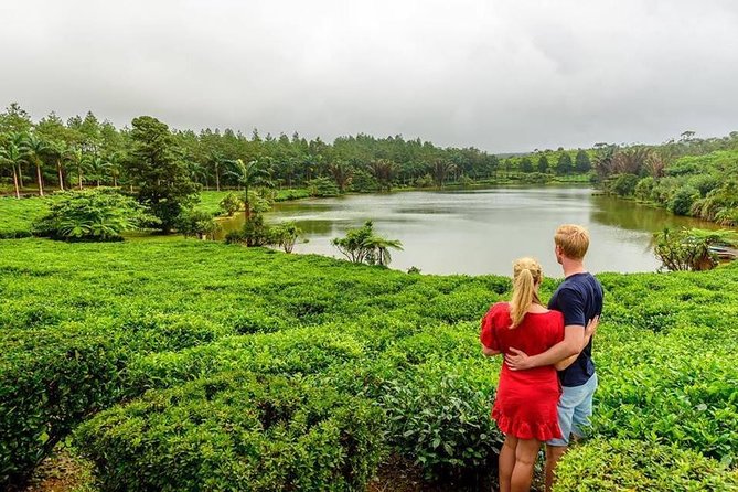 Wild South: Full-Day tour incl Rhumerie St Aubin, Bois cheri Tea factory & Lunch - Trou aux Cerfs, a crater above Curepipe