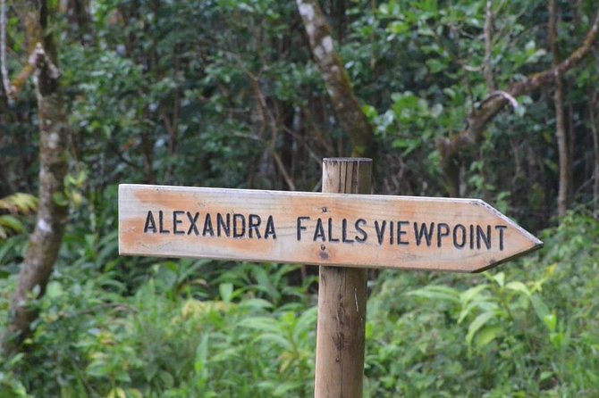 Wild South: Full-Day tour incl Rhumerie St Aubin, Bois cheri Tea factory & Lunch - Black River Gorges viewpoint
