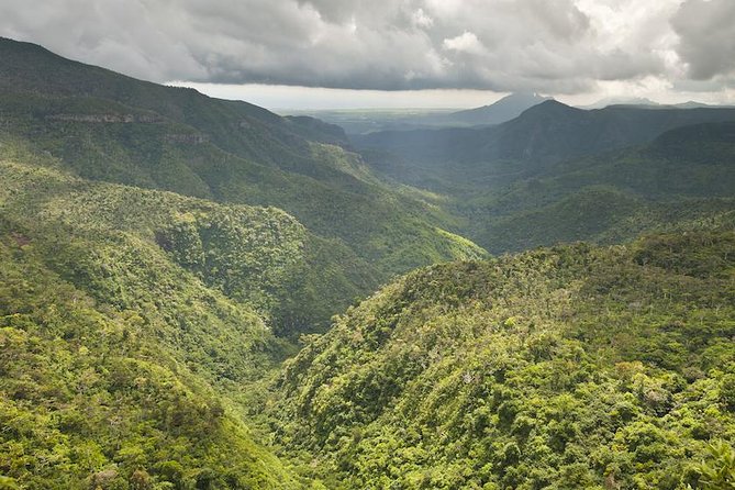 Wild South: Full-Day tour incl Rhumerie St Aubin, Bois cheri Tea factory & Lunch - Bois Chéri Tea Factory and Tea Route
