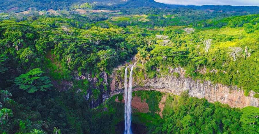 Wild South West Private Tour with pick up - Mare aux Vacoas, Mauritius’s largest reservoir