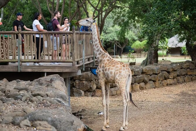 Wild South West Tour : SAFARI & TULAWAKA CASELA PARK & LE MORNE - Why this southwest route works