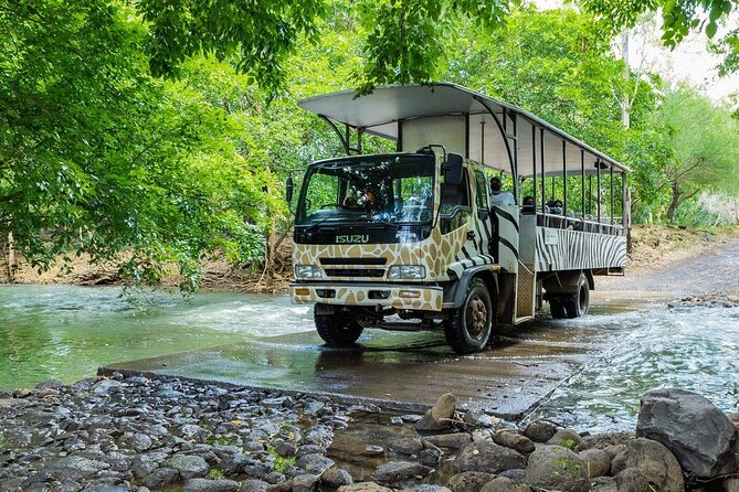 Wild South West Tour : SAFARI & TULAWAKA CASELA PARK & LE MORNE - Scenic transfers through the southwest