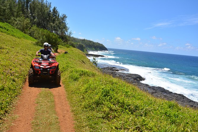 Wild Southern 18km - Rochester Falls: a short but worthwhile stop