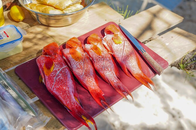 Your Island Voyage Mauritius Speed Boat Excursion With BBQ Lunch - Who will enjoy this northern Mauritius outing